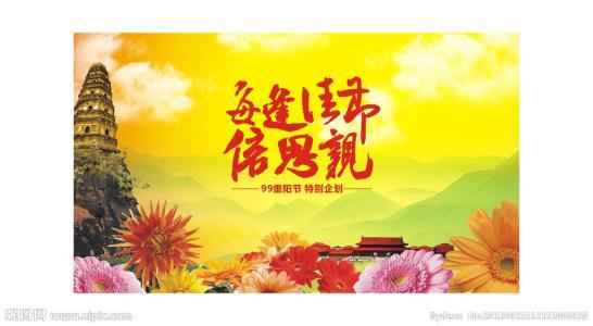 家乡的重阳节_800字