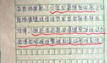 打开窗让春风进驻作文