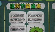 关于植树节的作文：植树节的故事_500字