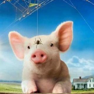 一篇满含正能量的小学生作文:读《夏洛的网》有感 1