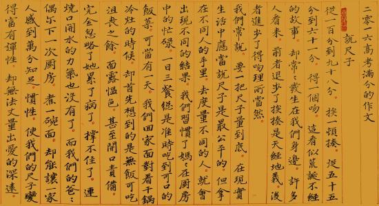 李清照的的魅力作文