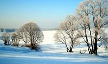 有关冬天景物的优美段落