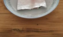 三年级下册作文实录：我做了一项小实验，有图有真相