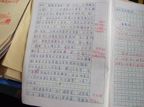 一个特殊的作业作文