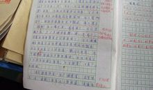 一个特殊的作业作文