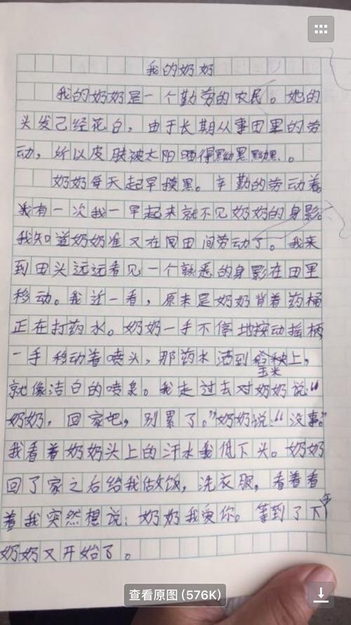 家有暖男作文