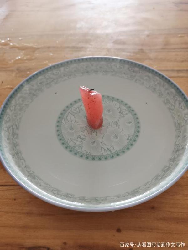 三年级下册作文实录：我做了一项小实验，有图有真相 1