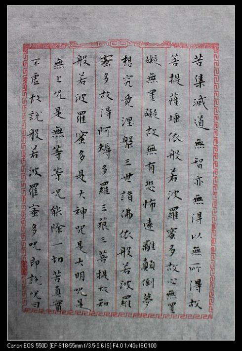 遇见王安石作文
