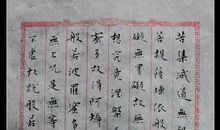 遇见王安石作文