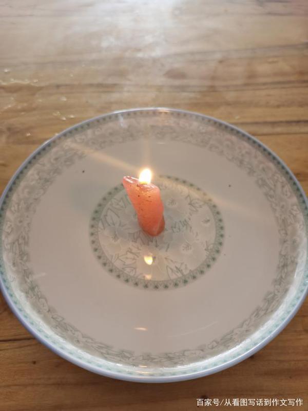 三年级下册作文实录：我做了一项小实验，有图有真相 2