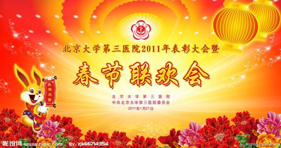 参加晚会 难忘的晚会400字作文