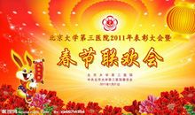 参加晚会 难忘的晚会400字作文