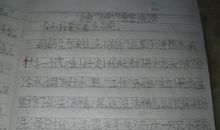 被遗忘的星星中学生作文