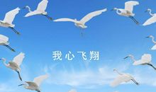 我心飞翔作文350字