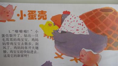 大班语言拜年教学反思