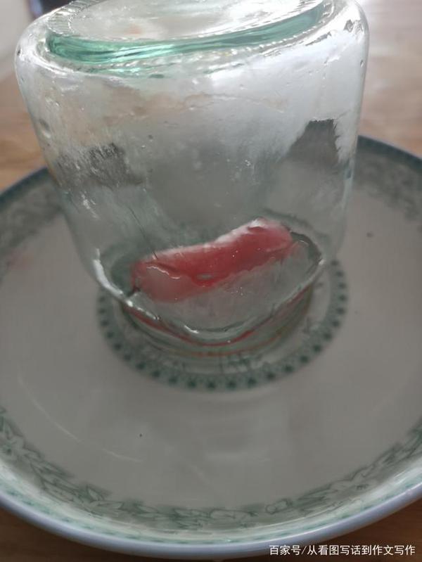 三年级下册作文实录：我做了一项小实验，有图有真相 5