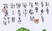 初中作文 | 我们的成长