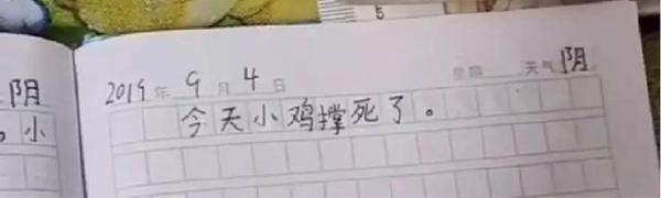 千万不要随便看小学生的作文 18