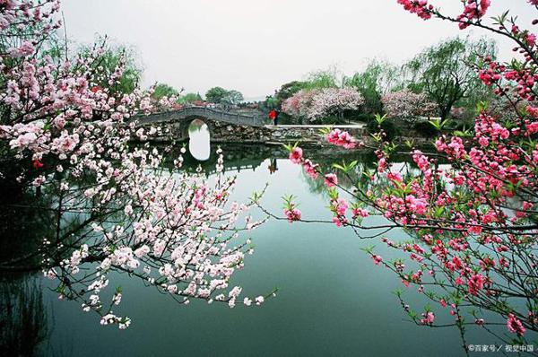 听，春天真的来了！丨英语老师写“下水作文” 1