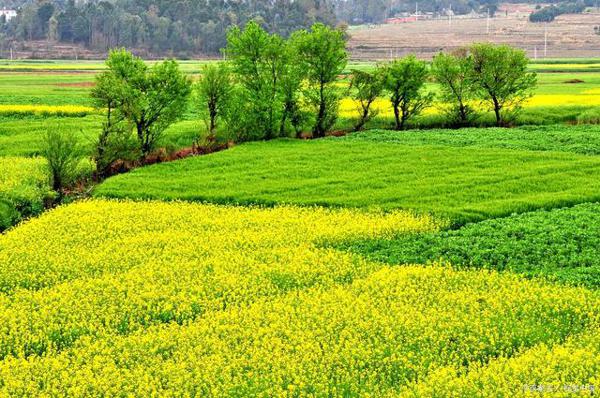 听，春天真的来了！丨英语老师写“下水作文” 2