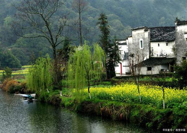 听，春天真的来了！丨英语老师写“下水作文” 3