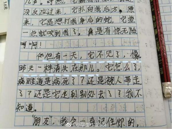 千万不要随便看小学生的作文 22