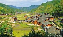 四年级作文：乡村的韵味