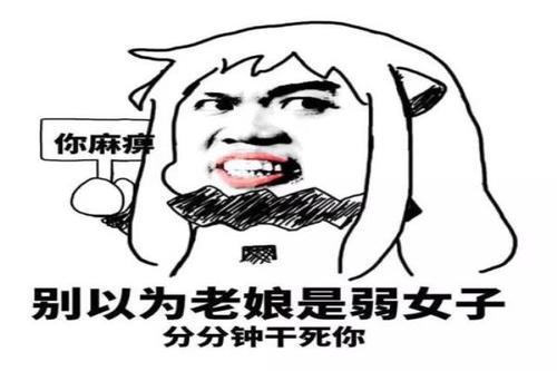 她 优秀写人作文800字