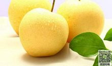 关于吃梨的作文