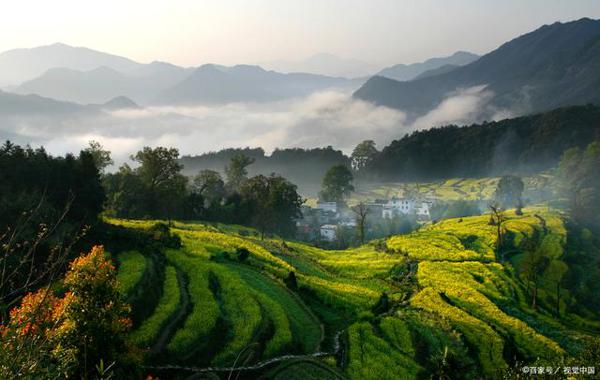 听，春天真的来了！丨英语老师写“下水作文” 5