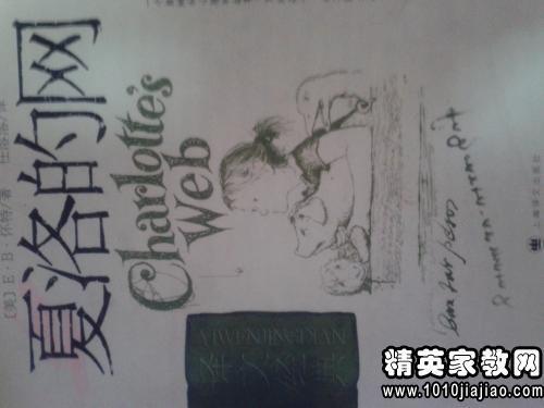 友谊的力量 读《夏洛的网》有感300字