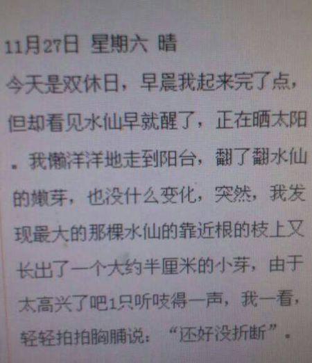 养鱼日记 小学生观察日记600字