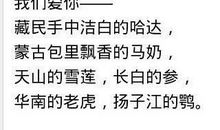 我们爱你啊，中国 六年级爱国诗歌300字