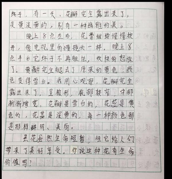 搞定作文-《昙花》 2
