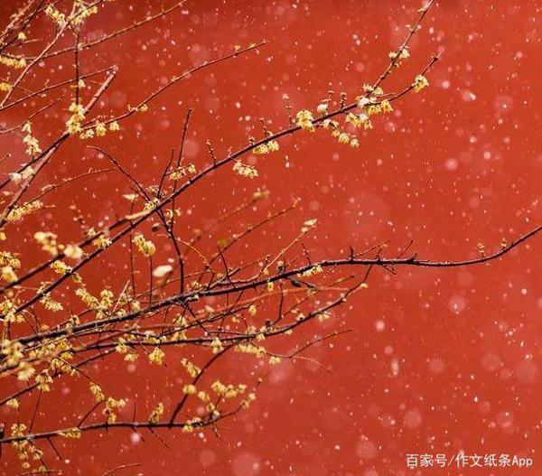 令阅卷老师惊艳,学霸都在偷偷摘抄!超燃的爱国句子和满分作文