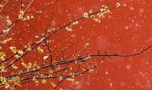 令阅卷老师惊艳，学霸都在偷偷摘抄！超燃的爱国句子和满分作文