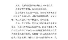 从此我不在孤独作文