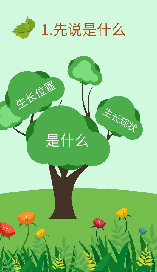 搞定作文-《昙花》 4