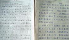 森林之声的作文