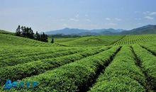 江西丘陵地区水肥一体化技术的运用论文