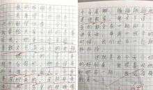 妙语连珠学生作文