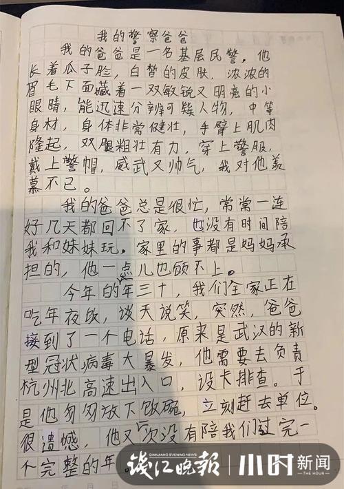 我当保姆作文350字