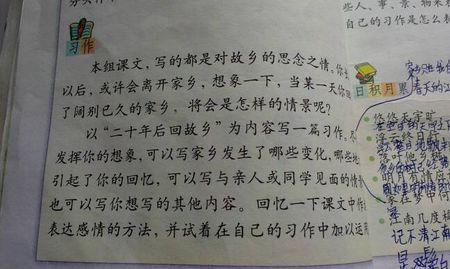 我好想回家的作文