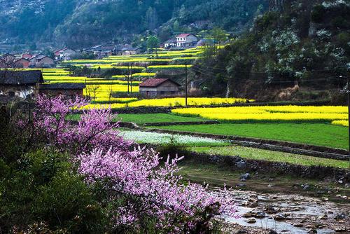 小学生描写家乡优秀作文2篇:我的家乡是一个山清水秀的小山村 1
