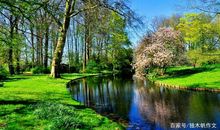 六年级作文：美丽的春天