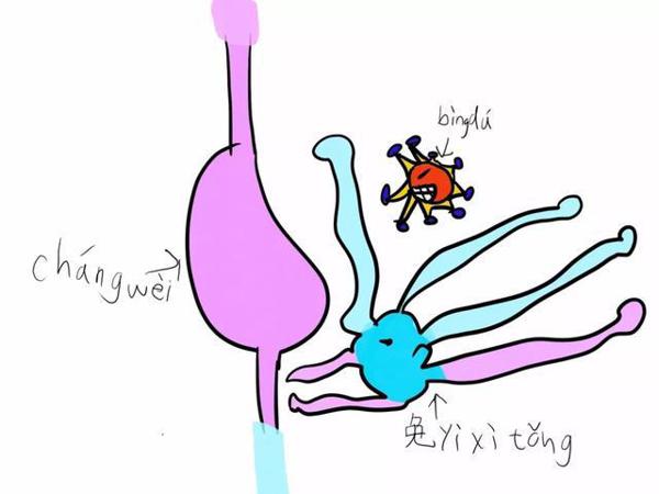 这1000多篇作文,拼出了孩子眼中的战疫生活图景 8