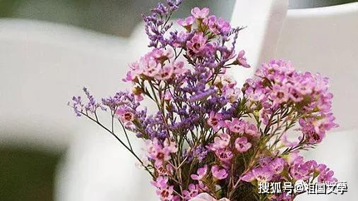 原创 【读后感】桃花源记· 作者：段田园 3