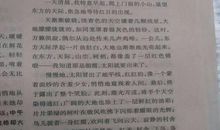 每件事情都需要认真对待 初中生叙事作文600字