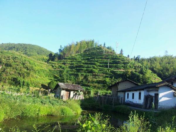 小学生描写家乡优秀作文2篇:我的家乡是一个山清水秀的小山村 3