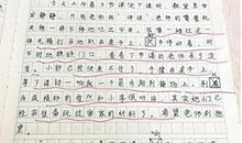 它来了的作文850字